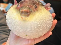 -永安鱼庄·镇江菜(东吴路店)