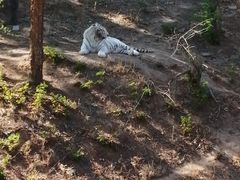 -石家庄市动物园