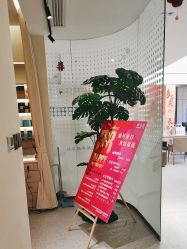 -碧莲盛·脱发养发中心