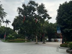 -荔湾湖公园