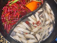 特色鸳鸯锅-锅说大脸毛肚重庆老火锅(佐阾店)