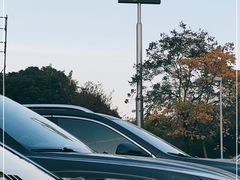 -麦当劳(友谊路得来速店)