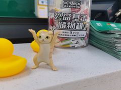-乖乖宠物医院·猫科·急重症中心(车站北路分院)