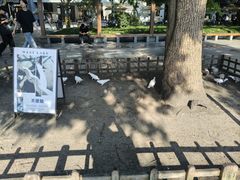 -西湖外事游船(湖滨二公园外事游船码头)