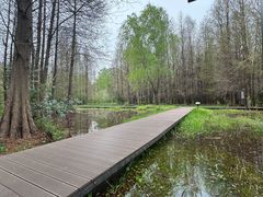 -溱湖国家湿地公园