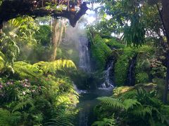 -Chom Cafe and Restaurant