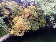 -钓鱼台国宾馆
