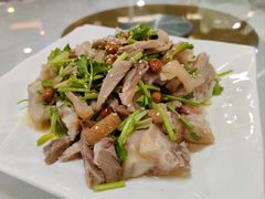 白切猪脚-金苑海鲜酒家(新港中路店)