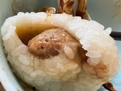 茨毛圆子-双塔老饭店