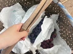 -马陆小张葡萄园农家乐