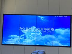 -桥恩心理咨询国际连锁(南山总店)