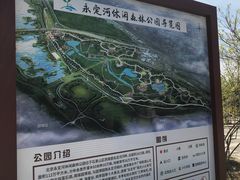 -永定河休闲森林公园