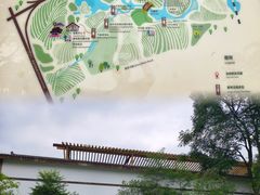 -桤木河湿地公园