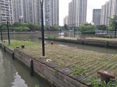 -苏州河梦清园环保主题公园