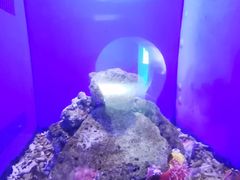 -青岛海底世界-水族馆