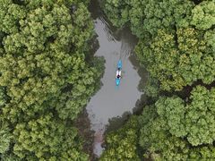 -动邦皮划艇·桨板·独木舟·团建户外运动俱乐部