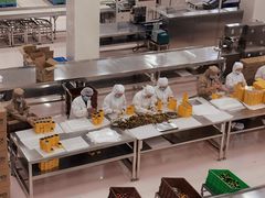 -歌斐颂巧克力小镇