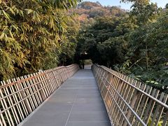 -福道