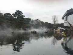 -BLACKSWAN黑天鹅(环球店)