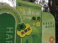 -芦仙山景区-飞越丛林探险乐园