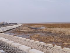 -南汇嘴观海公园