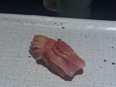 -镹·鱼料理  国产鱼使用店