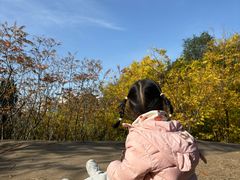 -南翠屏公园