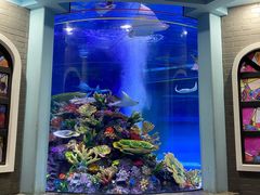 -成都浩海立方海洋公园