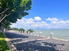 -深圳湾公园(南山区)