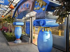 -南宫五洲植物乐园