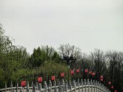 -洛阳市隋唐城遗址植物园