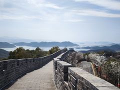 -黄贤森林公园