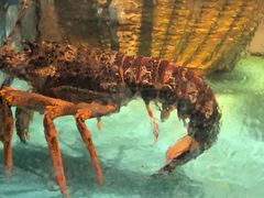 -拉完海鲜大排档(温岭店)