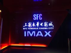 -SFC上影影城(港汇永华IMAX激光店)