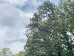 -WeLope紫金山探险公园