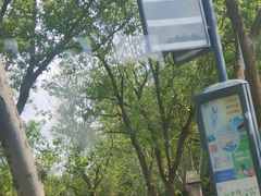 -同济大学(嘉定校区)