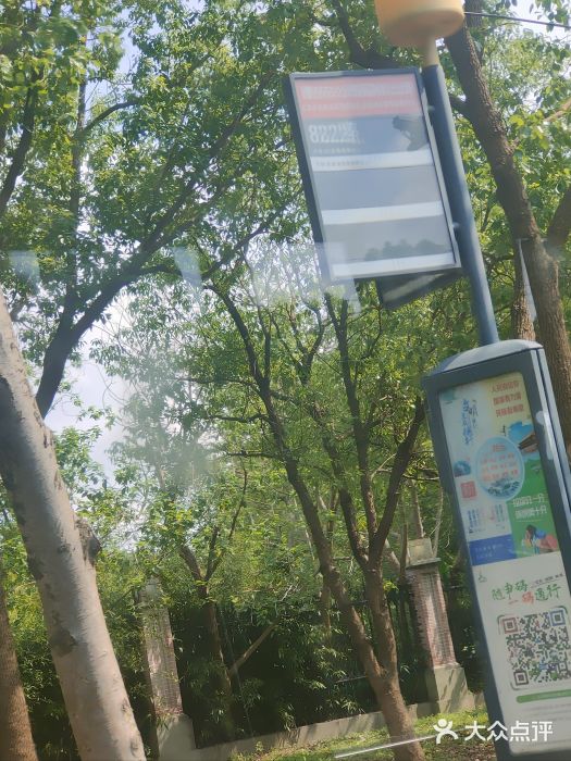 同济大学(嘉定校区)图片