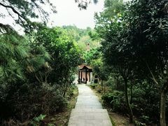 -敬亭山风景名胜区