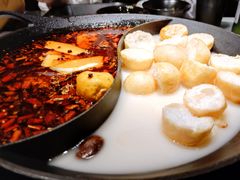 山城牛油黑鱼翅鱼火锅-新辣道鱼火锅(航天万源店)