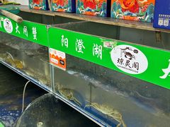 -阳澄湖大闸蟹·琼灵阁牌品牌连锁(吴中总店)