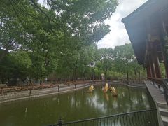 -南汇桃花村