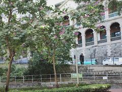 -香港佐治五世纪念公园