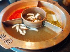 -滇釜火锅·能喝汤的火锅(车公庄店)