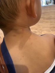 -海豹航航水育游泳中心(芳园里店)