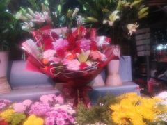 -朝来春花卉市场