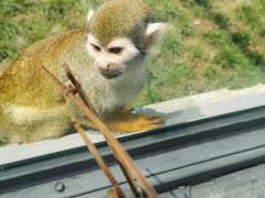 -石家庄市动物园