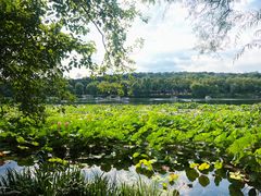 -承德避暑山庄景区