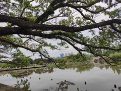 -江心屿景区