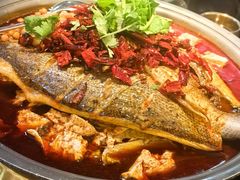 -初蓉丨遇见新川菜(亲贤街荣耀店)