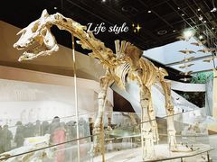 -武汉园博园(武汉自然博物馆)